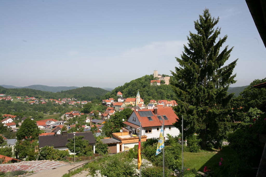 Marias Pension Falkenstein  Room photo